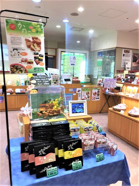 Nara Miyakoji photo 4