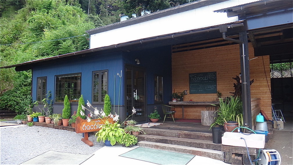 hachimaki Cafe name=