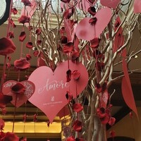 スプレンディード - 