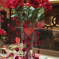 スプレンディード - 