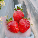 姫路ハートフル観光農園 - 