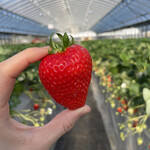 姫路ハートフル観光農園 - 