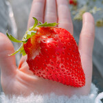 姫路ハートフル観光農園 - 