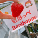 姫路ハートフル観光農園 - 