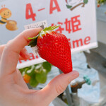 姫路ハートフル観光農園 - 