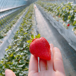 姫路ハートフル観光農園 - 