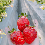 姫路ハートフル観光農園 - 