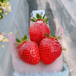 姫路ハートフル観光農園 - 