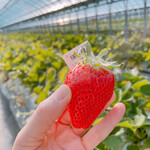 姫路ハートフル観光農園 - 