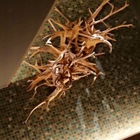 炯 - 