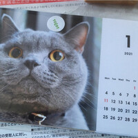 チェルカ トローヴァ - 