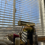 ​冬のRK GARDEN - 