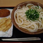 讃岐うどん 條辺 - かけうどん2玉と天ぷら2種