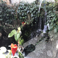 赤坂 津つ井 総本店 - 