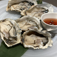 COLONIAL BEACH 横浜ハンマーヘッド - 