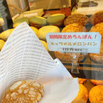 DANISH LAB.×MELON LAB. - 