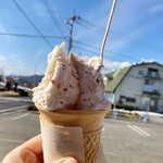 石田牧場のジェラート屋 めぐり - 宮嶋さんのりんご＆チョコチップ