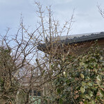 ピアット スズキ チンクエ - 