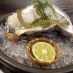 Moriguchi - 岩牡蠣