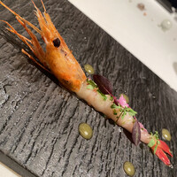 ジョンティ アッシュ - 