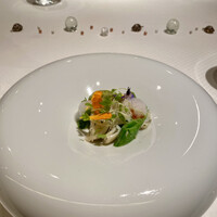 ジョンティ アッシュ - 