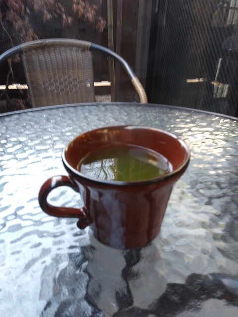 Go To Trip Cafe photo 3