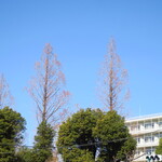 ラーメン二郎 - 今日も二郎日和♪