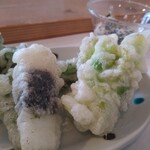 くるみの木 - 天ぷら3種。*イカ *菜の花 *ツボミ菜