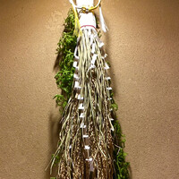 本湖月 -  本湖月 -