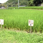 清澄の里 粟 - 田んぼのそばに駐車場あります。