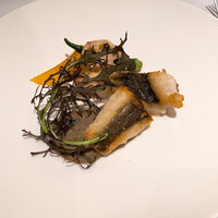 トラットリア トペ - 