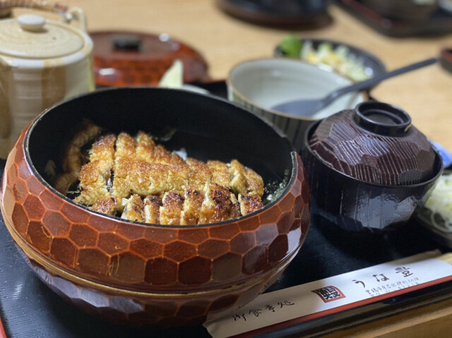 うな豊 豊橋 うなぎ 食べログ うな豊 豊橋 うなぎ 食べログ