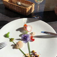 Mar Rosso - 