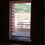 箱根菜の花展示室 - 