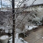 茶寮 吉芳 - 玄関アプローチ