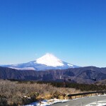 だいぶ雪が積もった