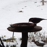 くつきそば 永昌庵 - 