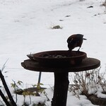くつきそば 永昌庵 - 