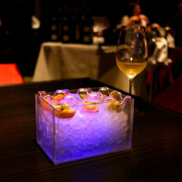 MAIMON GINZA - 
