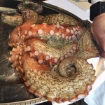 ウシマル - 本日の真蛸‼︎