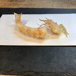 天風楽・ブランド松葉蟹 松屋町 青天 - 車海老天ぷら