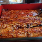 川京 - うな重♪近寄ってみた