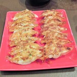 龍の餃子 - しそ餃子としょうがポーク餃子