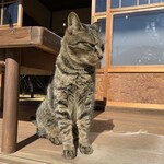 フォルノ ア レーニャ パネッツァ - 