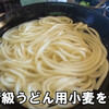 ざいごうどん 本家 わら家