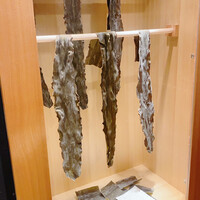 馳走 啐啄一十  - 