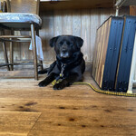 カフェ マニマニ - 