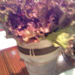 炭火焼 七厘 - サンチュ