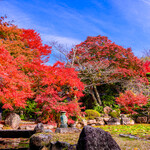 shoujinryourikeigetsu - 慶月目の前にある、敷地内の庭園（秋）