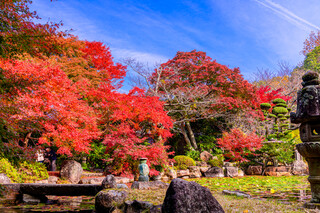 Shoujin ryourikeigetsu - 慶月目の前にある、敷地内の庭園（秋）